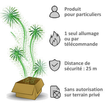 feux d'artifice automatique prêt à tirer gros calibre 50 mm