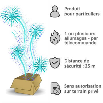 Quel est le prix d'un Feu d'artifice de Mariage ? Idées de budget par Pyro  Concept