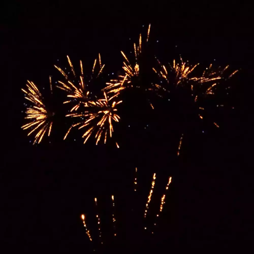 Pfa500 bigmoon