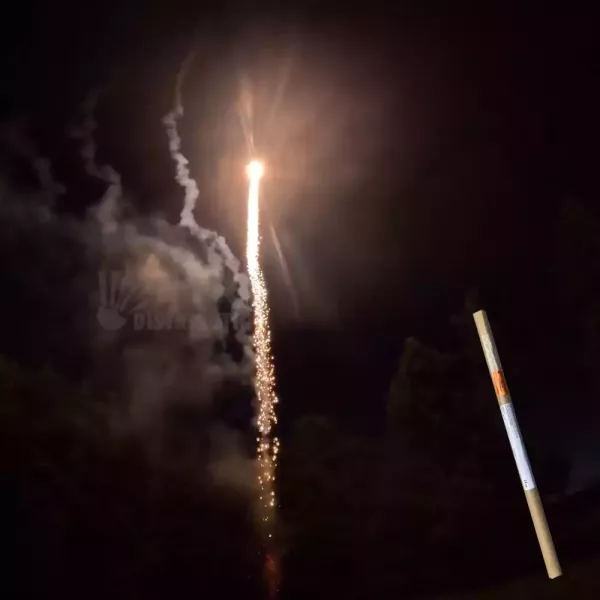 Chandelle romaine 8 coups queue de tigre argentée