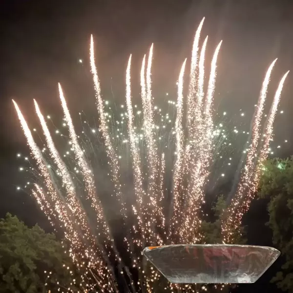 Envolée 13 coups pot à feu pailette or et pointes vertes scintillantes