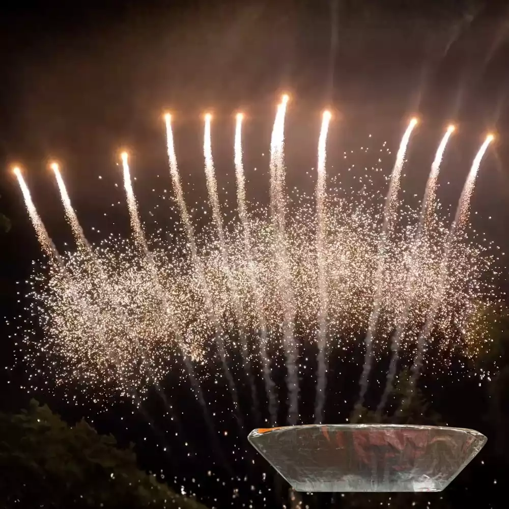 Envolée 13 coups queue de tigre jaune avec chrysanthème