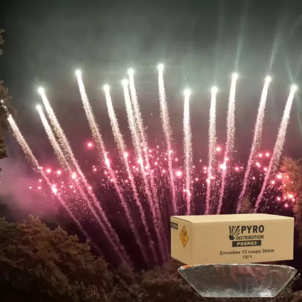 Carton envolées 13 coups queue de tigre verte strobe rouge 