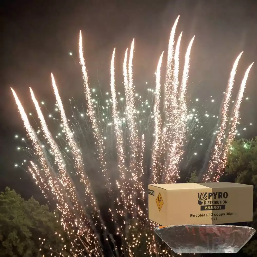 Demi carton envolées 13 coups pot à feu pailette or et pointes vertes scintillantes