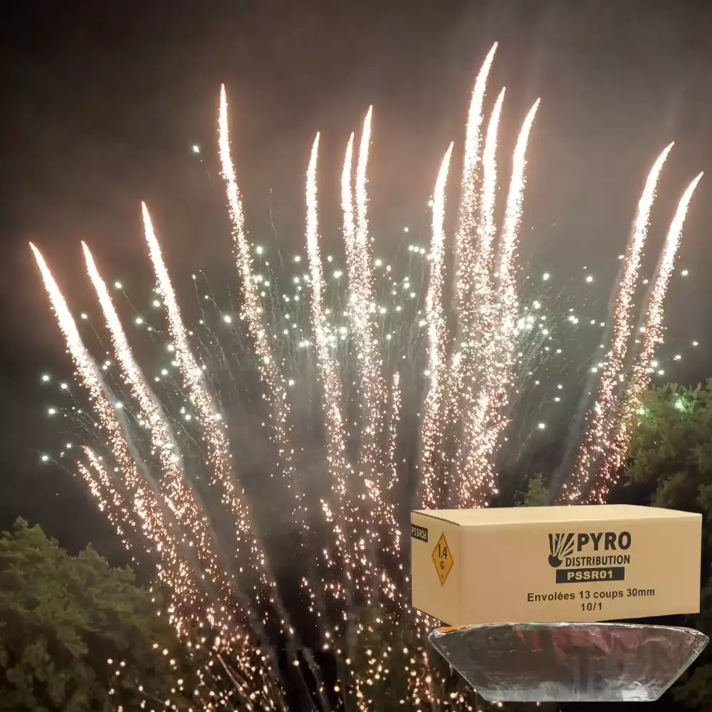 Carton envolées 13 coups pot à feu pailette or et pointes vertes scintillantes