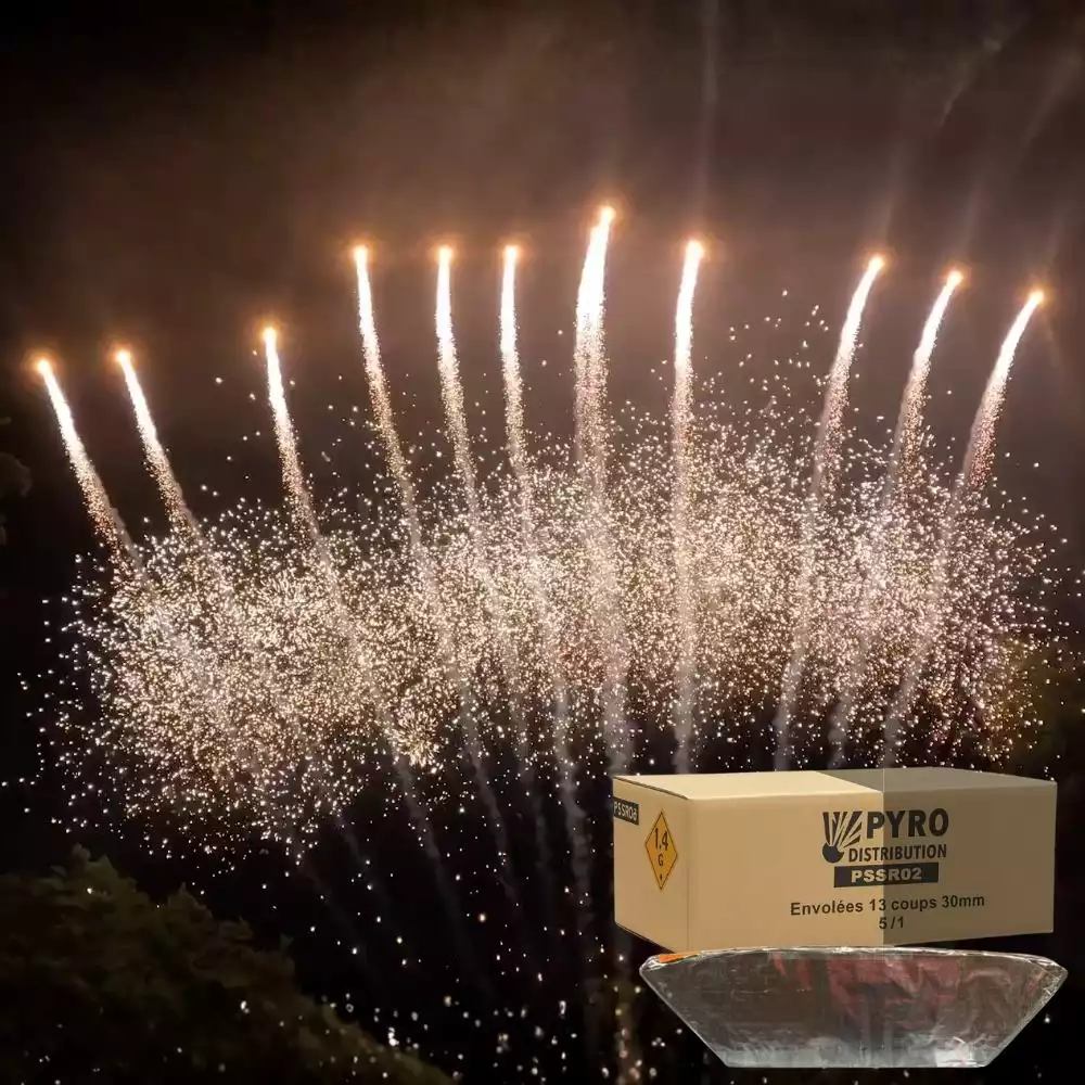 Demi carton envolées 13 coups queue de tigre jaune avec chrysanthème