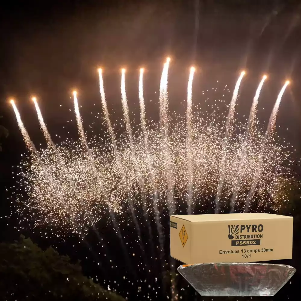 Carton envolées 13 coups queue de tigre jaune avec chrysanthème 