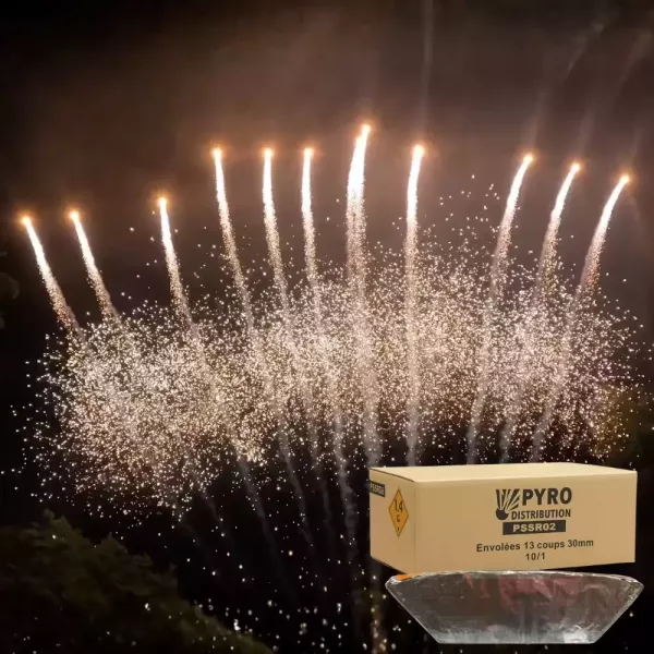 Carton envolées 13 coups queue de tigre jaune avec chrysanthème 