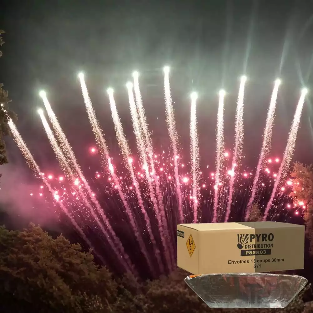 Demi carton envolées 13 coups queue de tigre verte strobe rouge