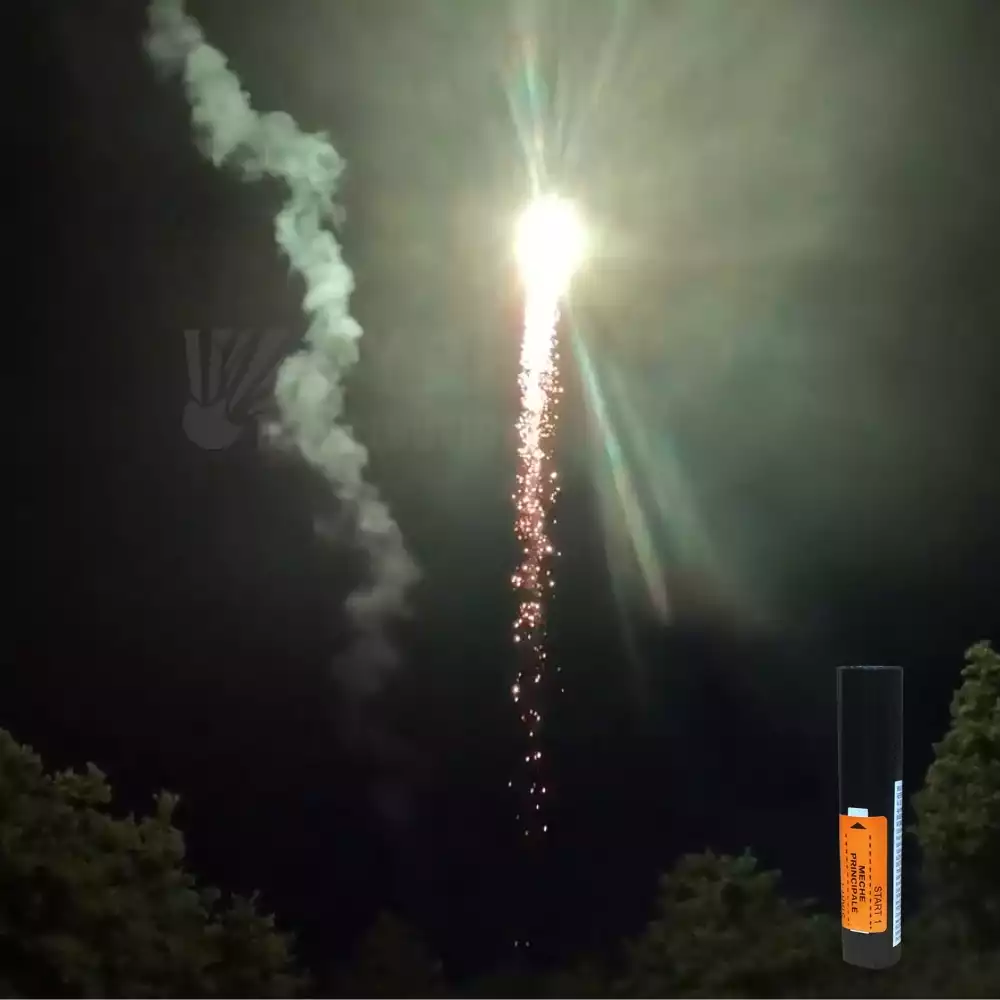 Monocoup queue de tigre verte