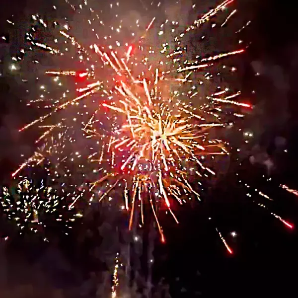 Pack silver gold 600