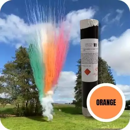 1 monocoup de jour vert