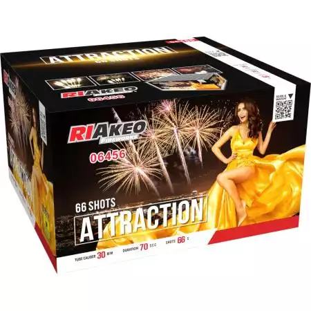 Feu d'artifice Attraction
