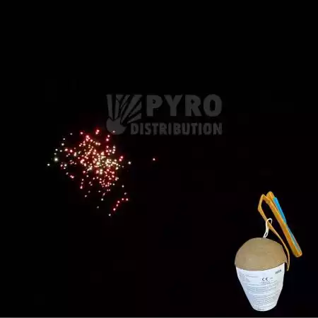 Carton de bombes 100mm feuilles mortes assortie avec trainée argent