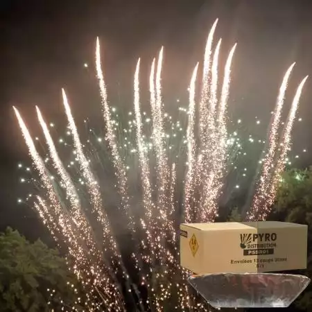 Envolée 13 coups pot à feu pailette or et pointes vertes scintillantes