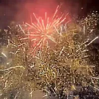 Pack silver gold 600